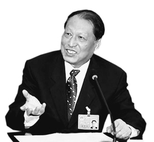 成思危:审计活动和处理处罚不可分(图)